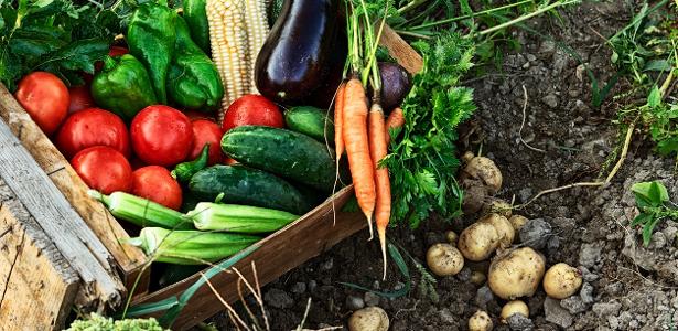 organic_farmers